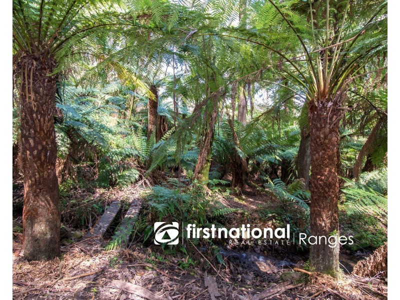 9 Lynn Street, Sassafras VIC 3787