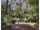9 Lynn Street, Sassafras VIC 3787