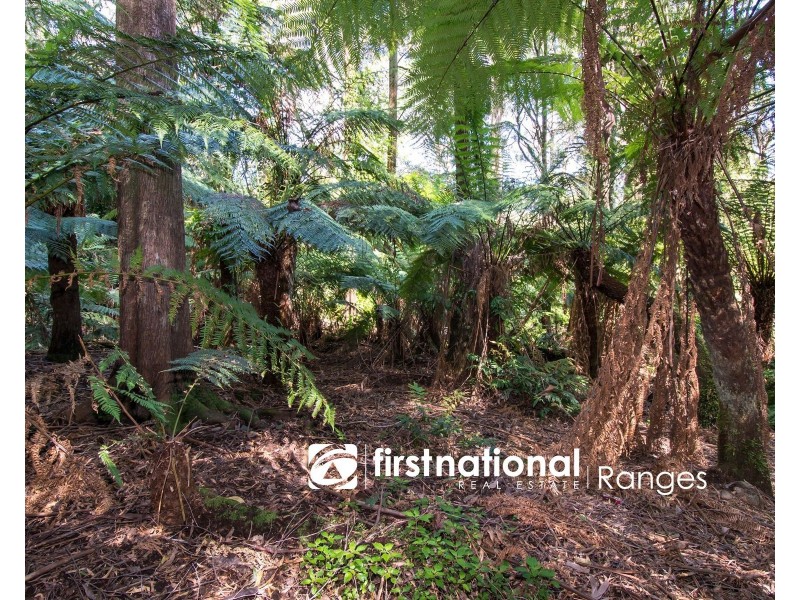 9 Lynn Street, Sassafras VIC 3787
