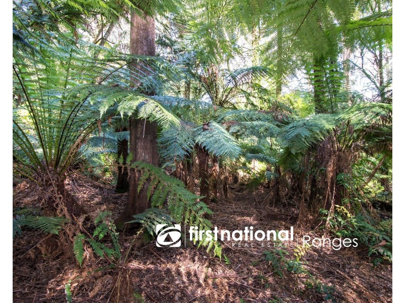 9 Lynn Street, Sassafras VIC 3787
