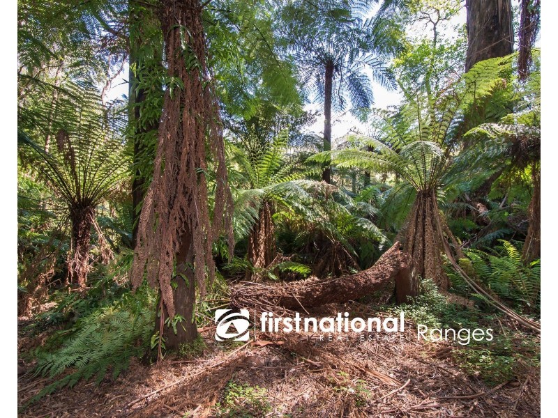 9 Lynn Street, Sassafras VIC 3787