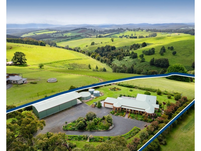 265 Mountain Road, Gembrook VIC 3783