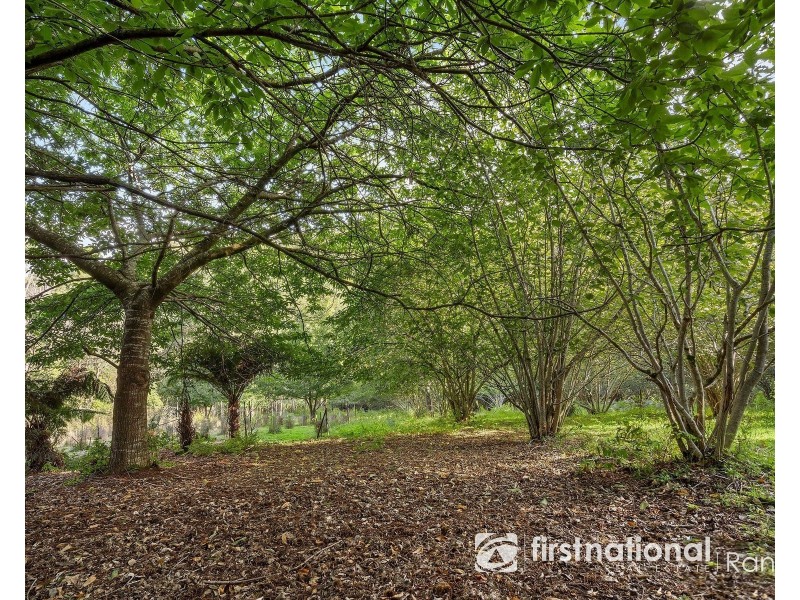 35 McCarthy Road, Olinda VIC 3788