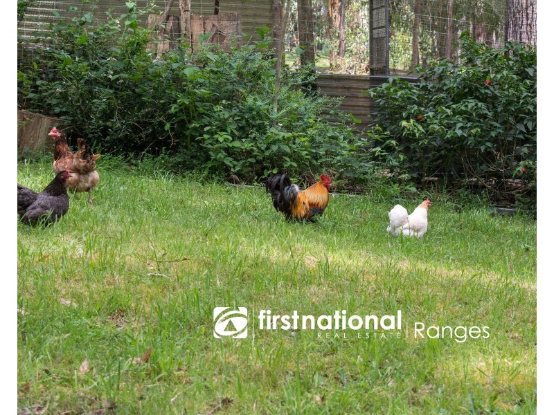 387 Mt Eirene Road, Gembrook VIC 3783