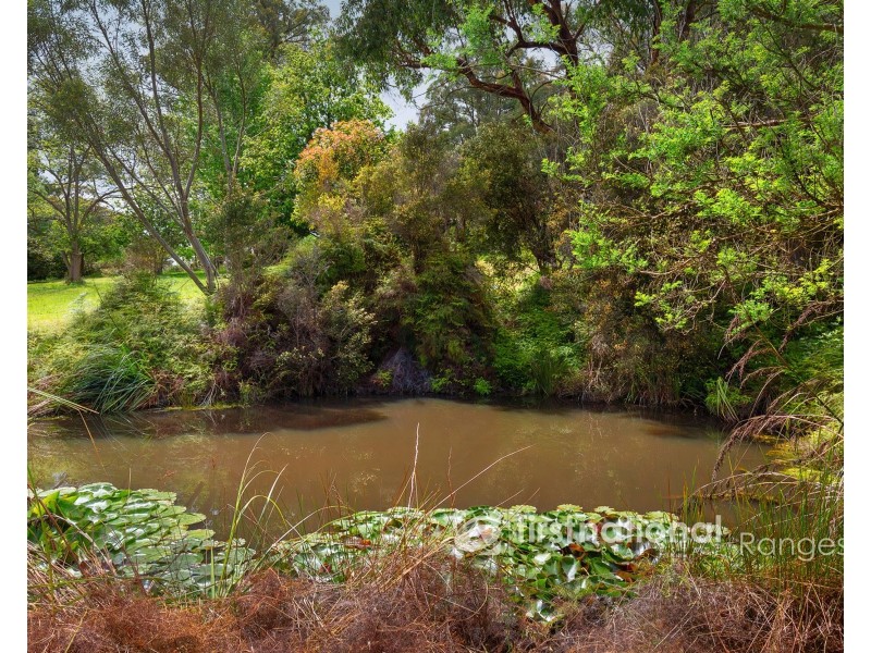 115 Collie Road, Gembrook VIC 3783