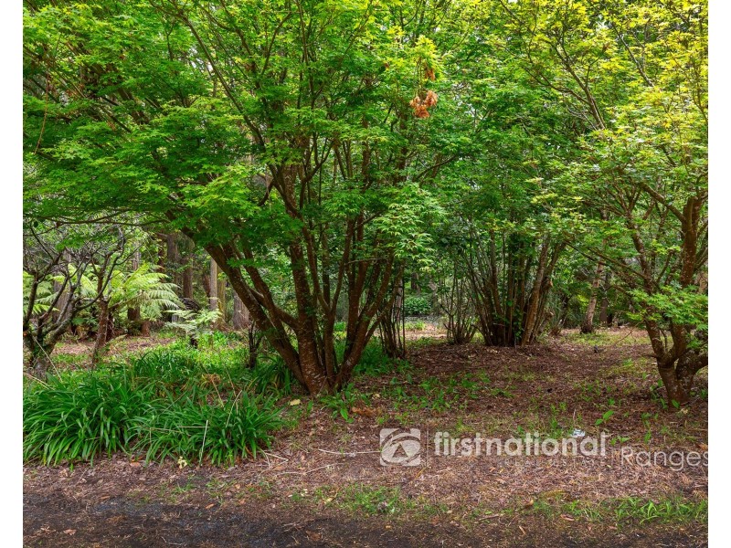 115 Collie Road, Gembrook VIC 3783
