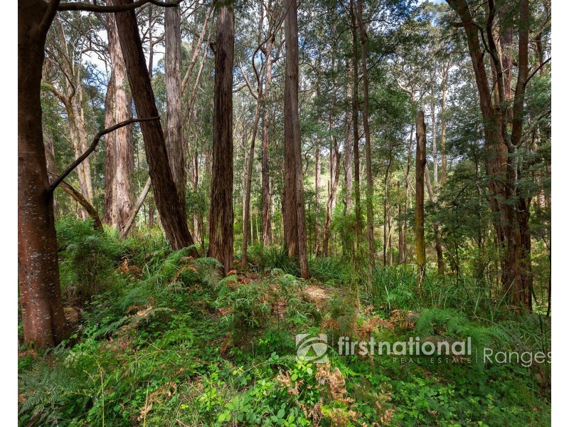 115 Collie Road, Gembrook VIC 3783