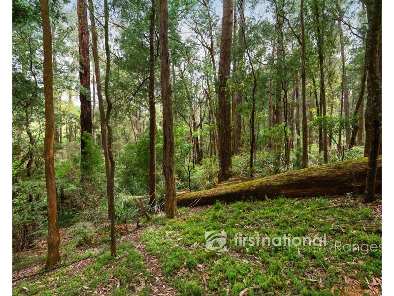 115 Collie Road, Gembrook VIC 3783