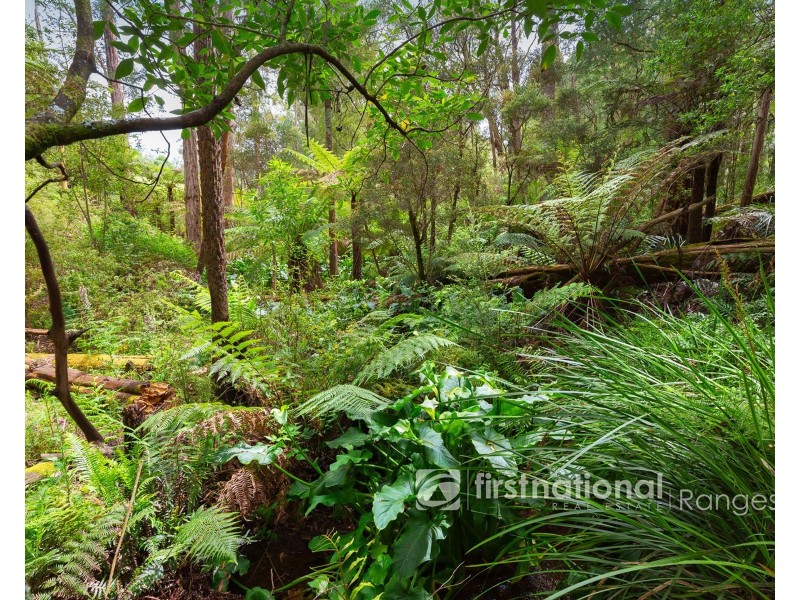 115 Collie Road, Gembrook VIC 3783
