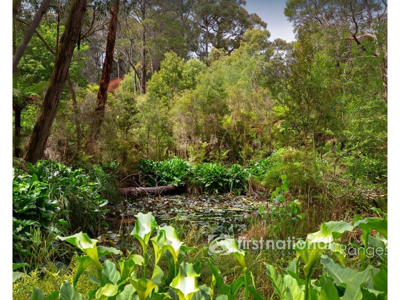 115 Collie Road, Gembrook VIC 3783