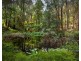 115 Collie Road, Gembrook VIC 3783