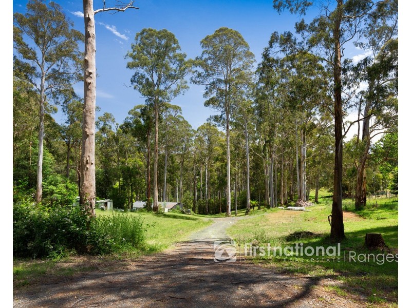 8 Doonaha Road, Cockatoo VIC 3781