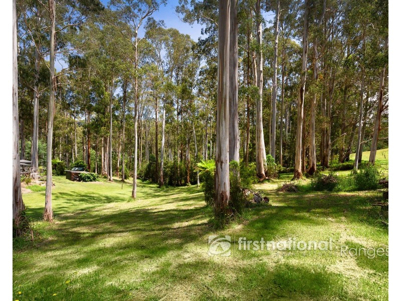 8 Doonaha Road, Cockatoo VIC 3781