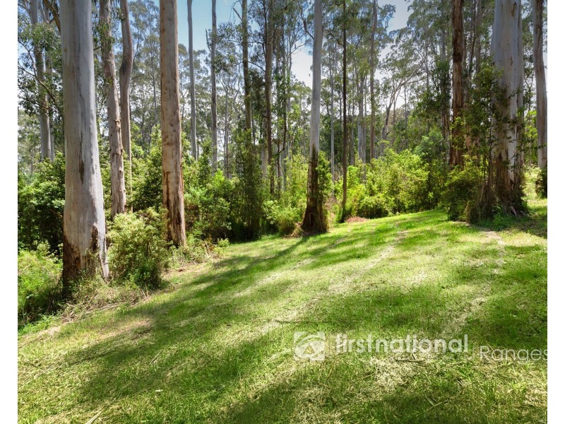 8 Doonaha Road, Cockatoo VIC 3781