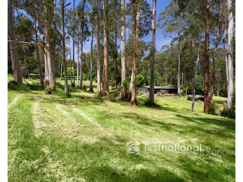 8 Doonaha Road, Cockatoo VIC 3781
