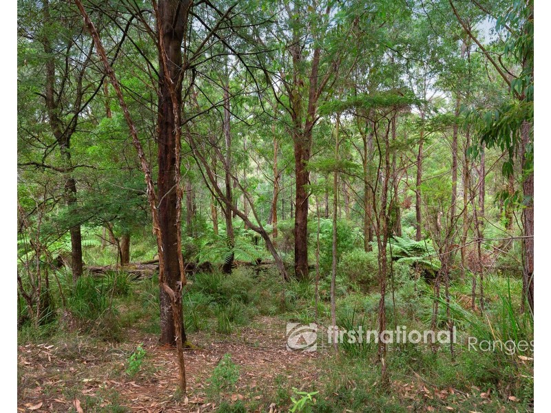 80 Morbey Road, Gembrook VIC 3783