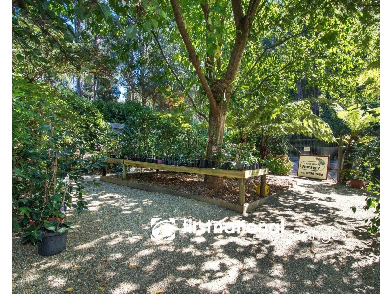 234 Monbulk Road, Monbulk VIC 3793