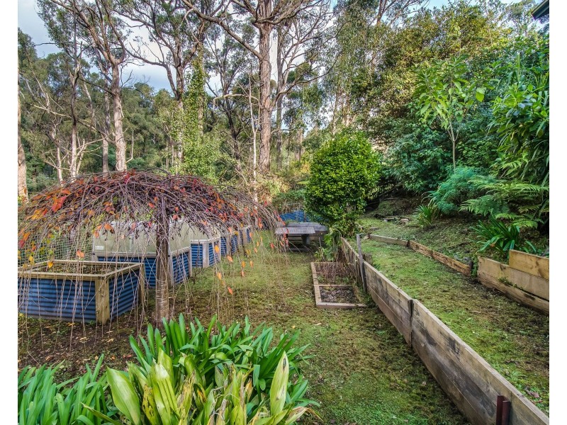 17 Fern Gully Road, Cockatoo VIC 3781