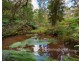 31 Coulson Road, Monbulk VIC 3793