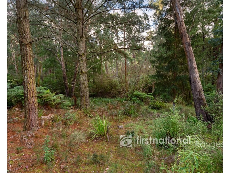 31 Coulson Road, Monbulk VIC 3793