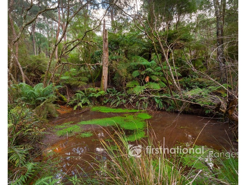 31 Coulson Road, Monbulk VIC 3793