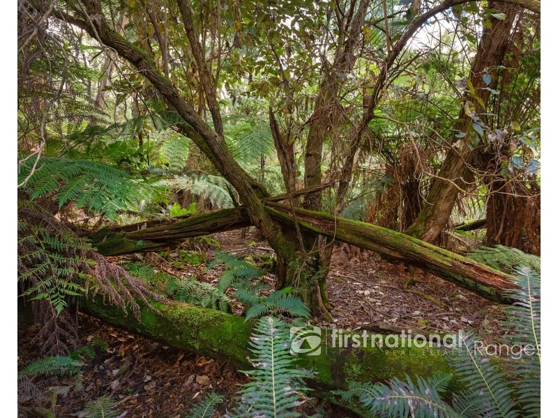 31 Coulson Road, Monbulk VIC 3793