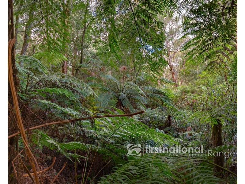 31 Coulson Road, Monbulk VIC 3793