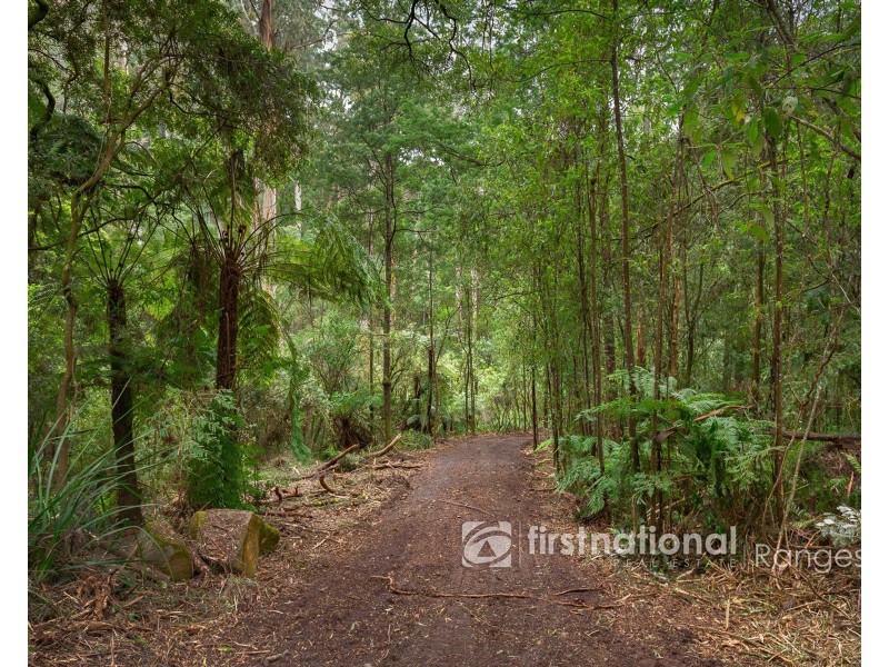 70 SASSAFRAS CREEK ROAD, Sherbrooke VIC 3789