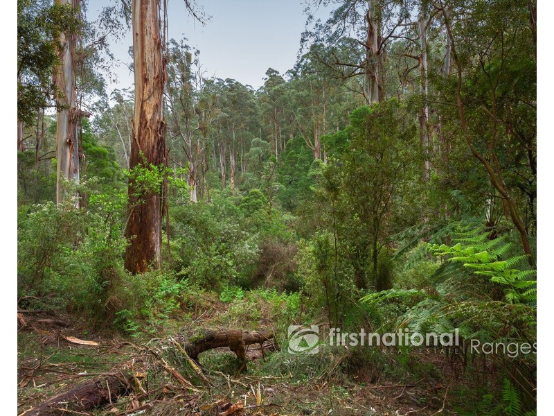 70 SASSAFRAS CREEK ROAD, Sherbrooke VIC 3789