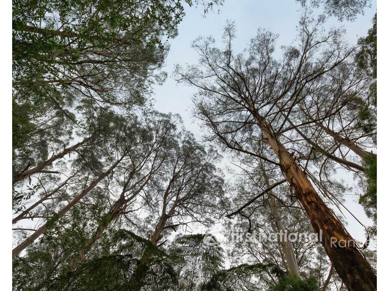 70 SASSAFRAS CREEK ROAD, Sherbrooke VIC 3789