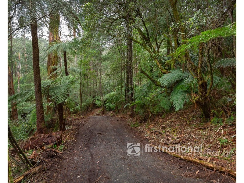 70 SASSAFRAS CREEK ROAD, Sherbrooke VIC 3789