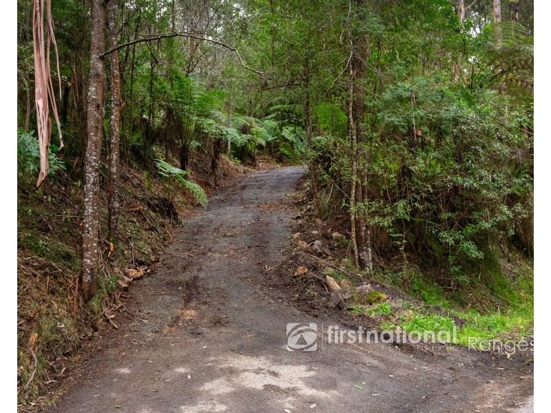 70 SASSAFRAS CREEK ROAD, Sherbrooke VIC 3789