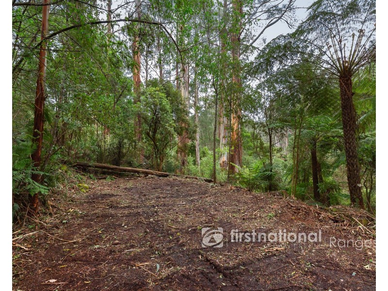 70 SASSAFRAS CREEK ROAD, Sherbrooke VIC 3789