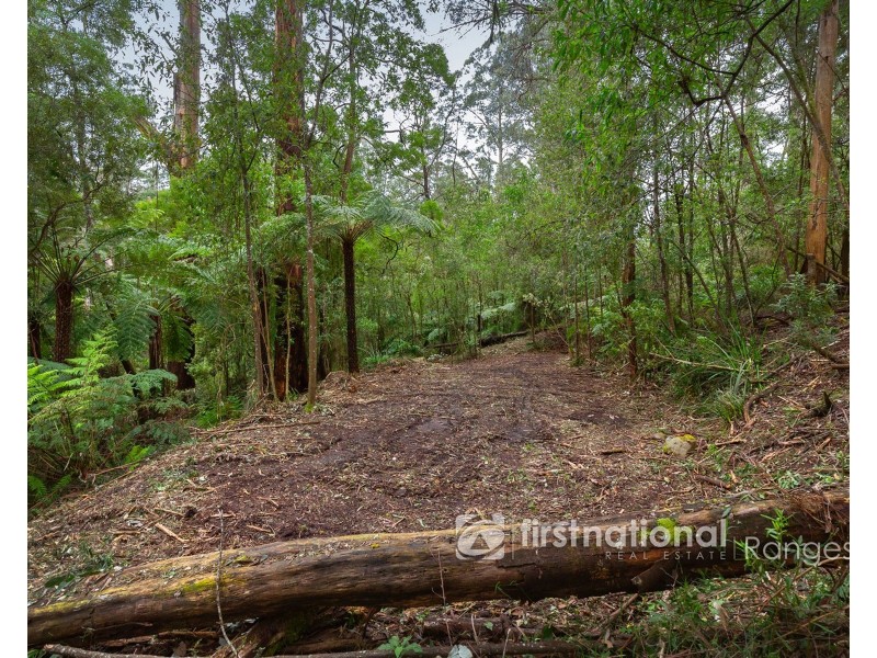 70 SASSAFRAS CREEK ROAD, Sherbrooke VIC 3789