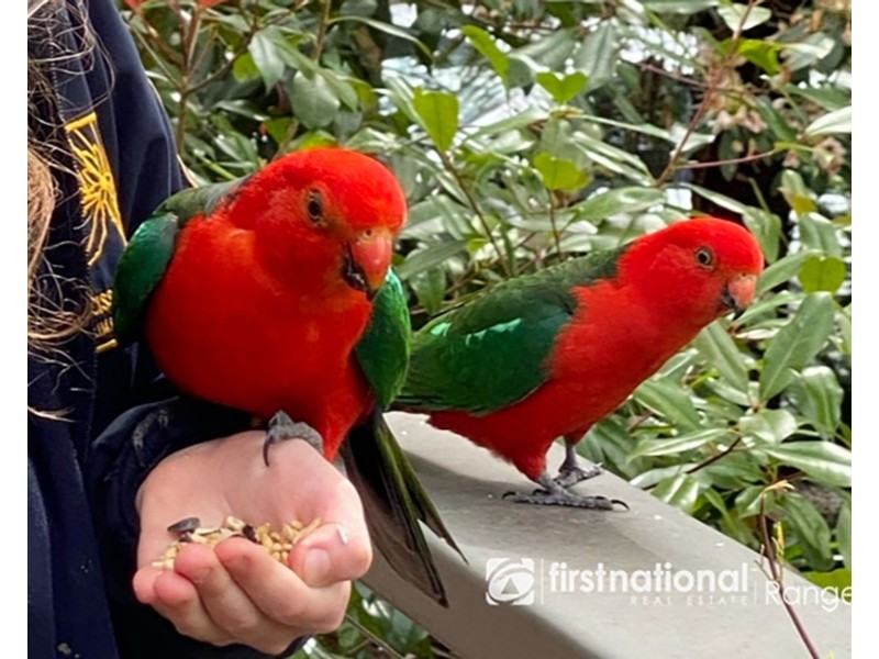 2 Colston Avenue, Sherbrooke VIC 3789