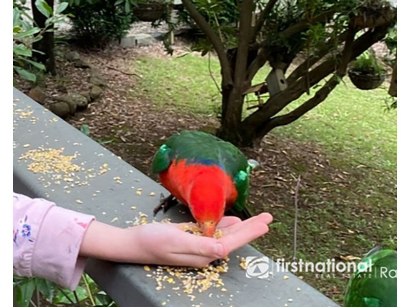 2 Colston Avenue, Sherbrooke VIC 3789