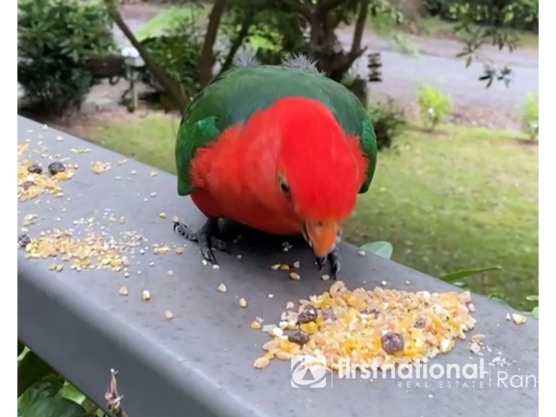 2 Colston Avenue, Sherbrooke VIC 3789