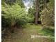107 Emerald-Monbulk Road, Emerald VIC 3782