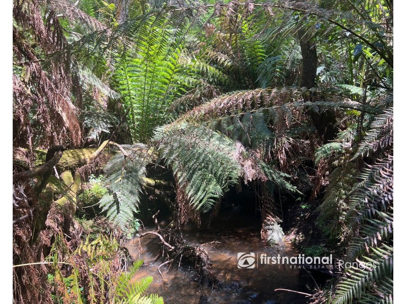 107 Emerald-Monbulk Road, Emerald VIC 3782