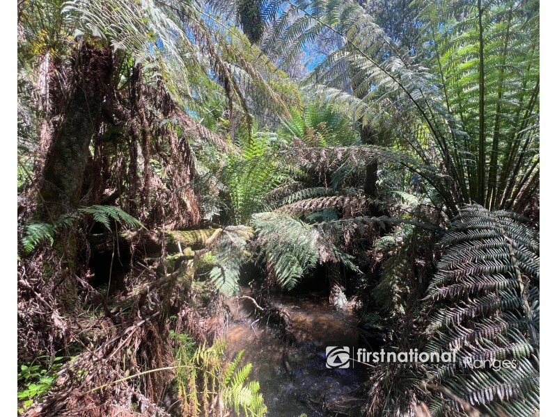 107 Emerald-Monbulk Road, Emerald VIC 3782