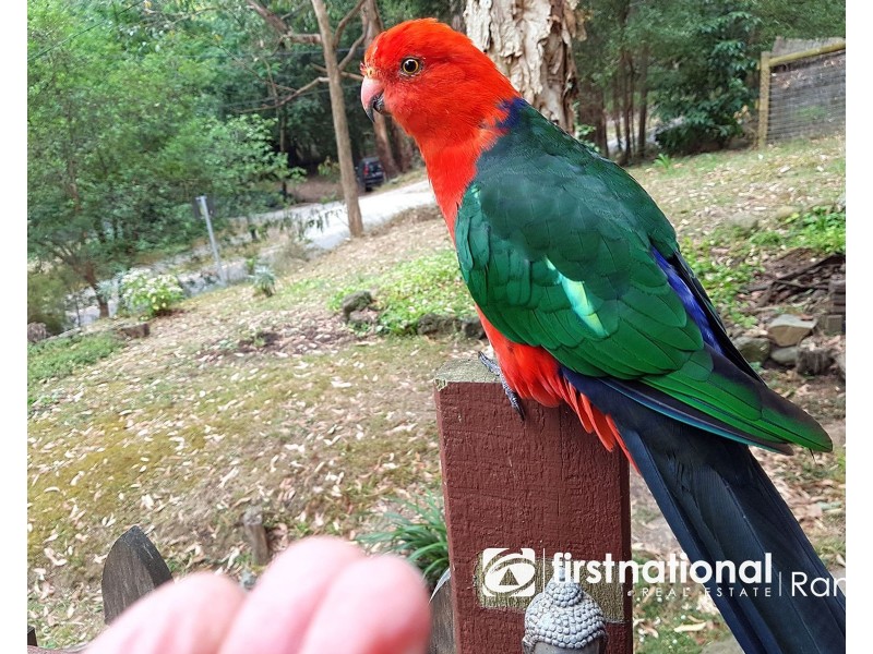 8 SANDELLS ROAD, Tecoma VIC 3160