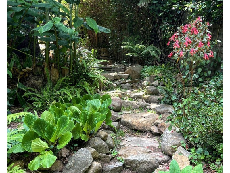 6 Cole Avenue, Belgrave VIC 3160