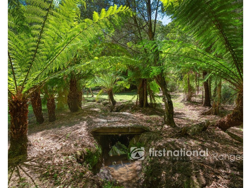 5 Birch Avenue, Emerald VIC 3782
