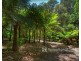 5 Birch Avenue, Emerald VIC 3782