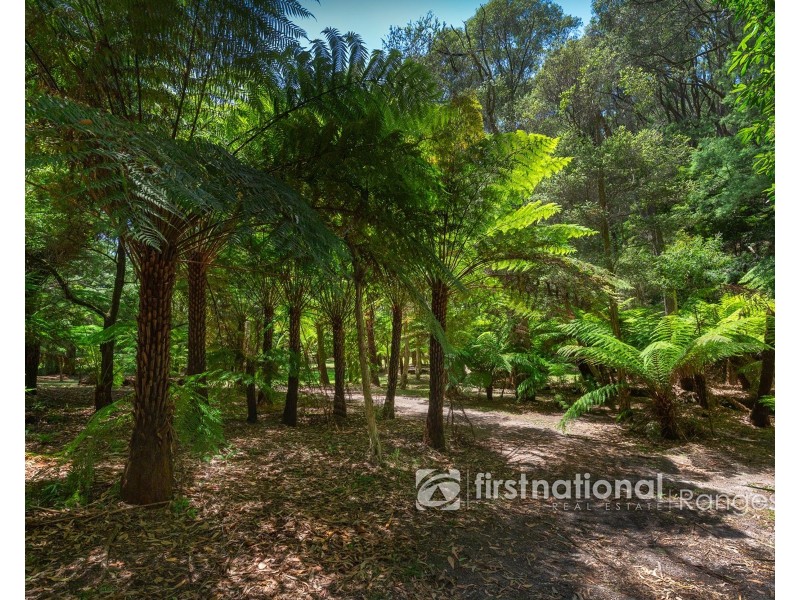 5 Birch Avenue, Emerald VIC 3782