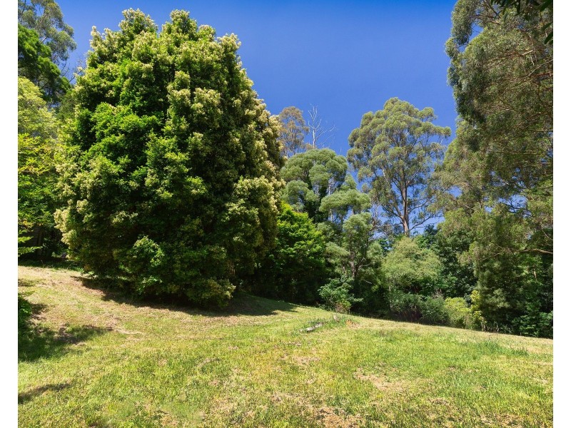 124 OLINDA-MONBULK ROAD, Olinda VIC 3788