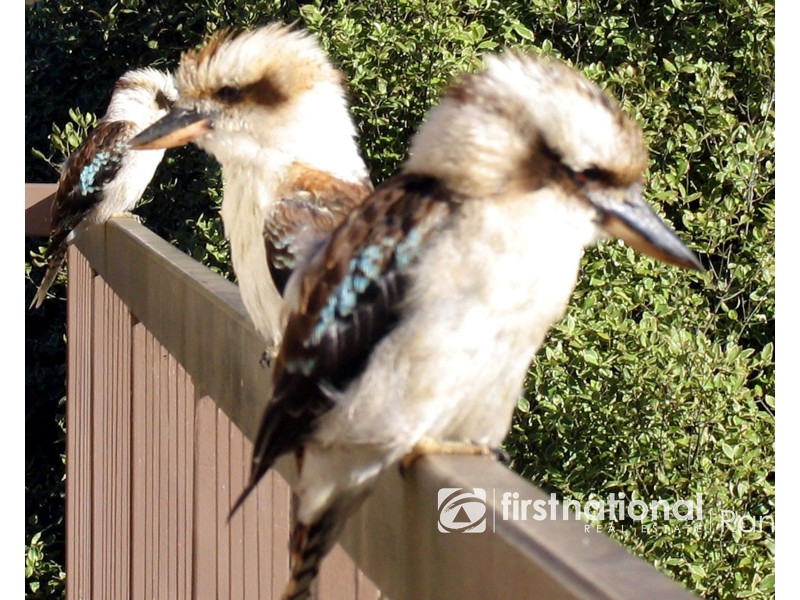 13 Lisheen Road, Cockatoo VIC 3781