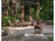 35 Grantulla Road, Kallista VIC 3791