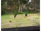 635 Dore Road, Nar Nar Goon North VIC 3812
