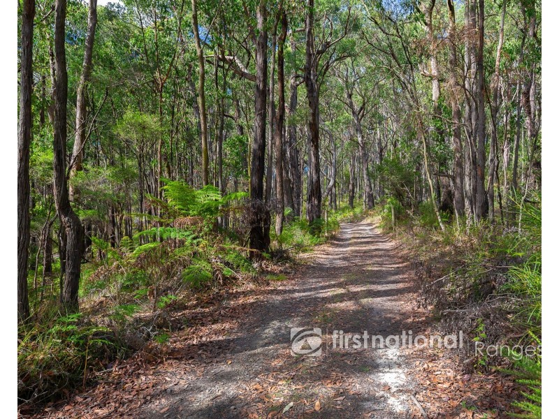 200 EVANS ROAD, Cockatoo VIC 3781